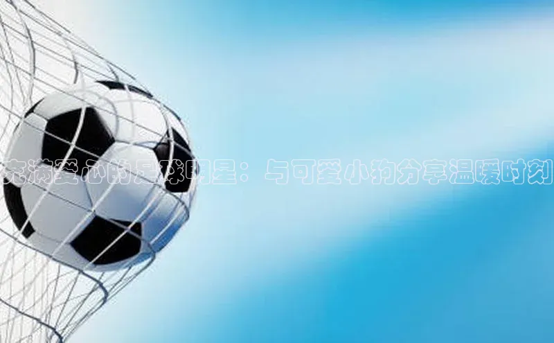 谈球吧官方网站云创智行充满爱心的足球明星：与可爱小狗分享温暖时刻
