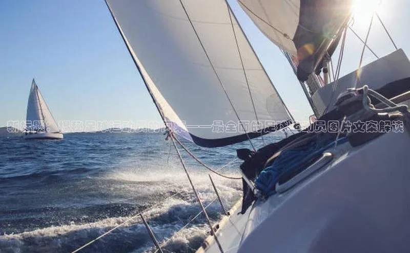 谈球吧体育官网入口ARGA公司新标题：揭秘足球运动员的风采——最全面的足球运动员图片文案解读