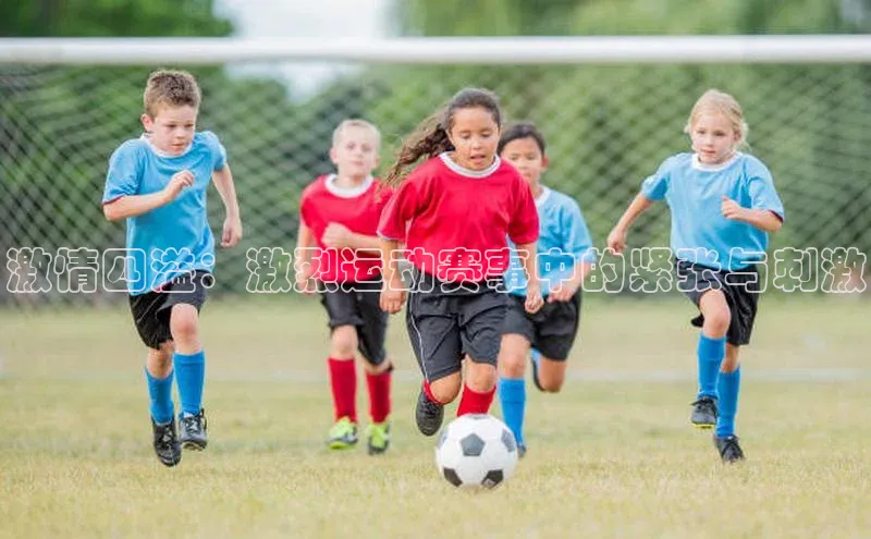 谈球吧体育龙门直播赛富乐斯激情四溢：激烈运动赛事中的紧张与刺激