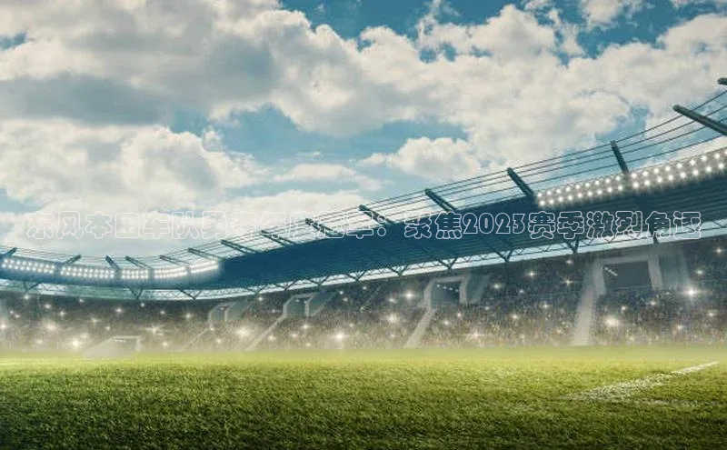 东风本田车队勇夺年度冠军：聚焦2023赛季激烈角逐