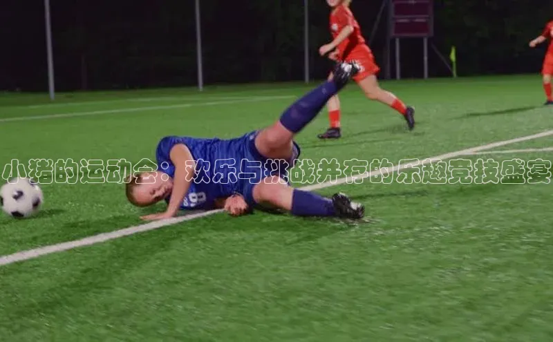 小猪的运动会：欢乐与挑战并存的乐趣竞技盛宴