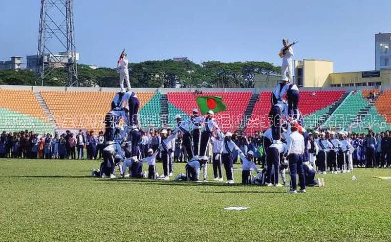 车轮上的全球视野：我对世界汽车运动赛事的深刻感悟与思考