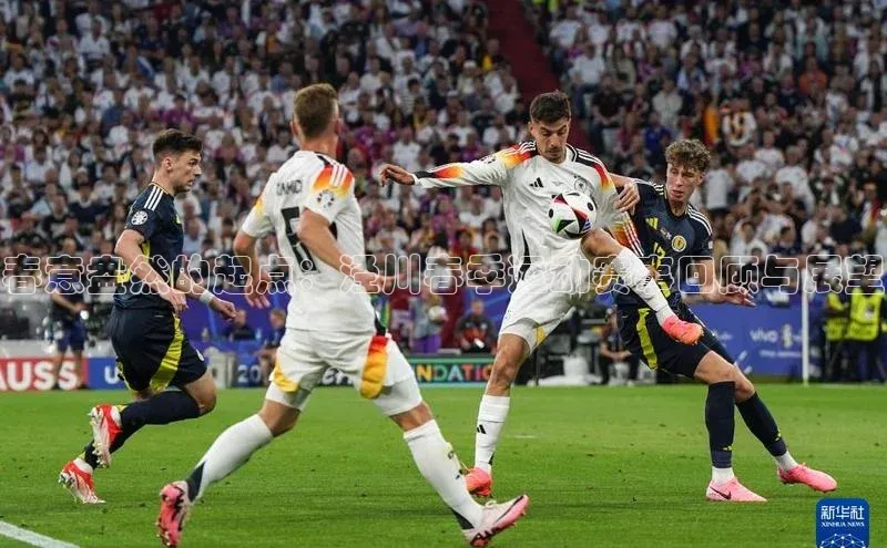 春意盎然的起点：泾川春季运动赛事回顾与展望