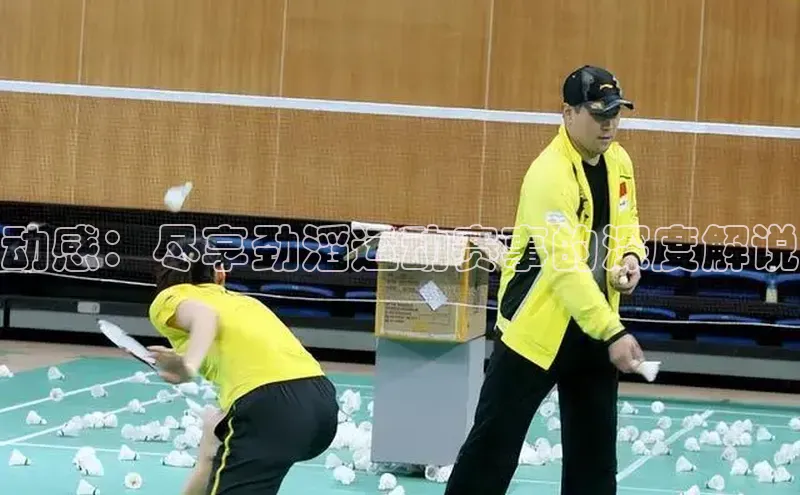 动感：尽享劲滔运动赛事的深度解说