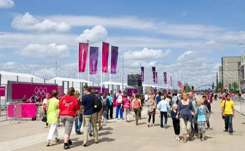 全球视野下的中国体育盛事：一场跨越国界的竞技与文化交流之旅