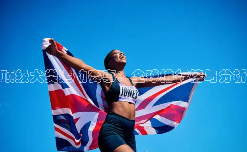 顶级犬类运动赛事：全球排行榜与分析