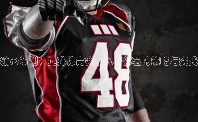 精心策划：提升体育赛事现场体验的策略与实践