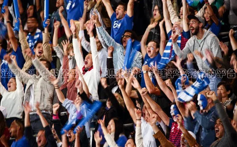 运动赛事中的公平竞争原则探讨：构建平等竞争的平台