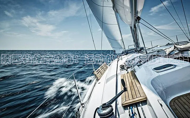 陕西省体育盛事：运动的激情与健康之路