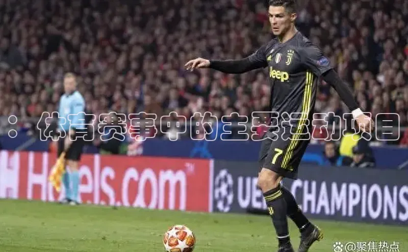 ：体育赛事中的主要运动项目