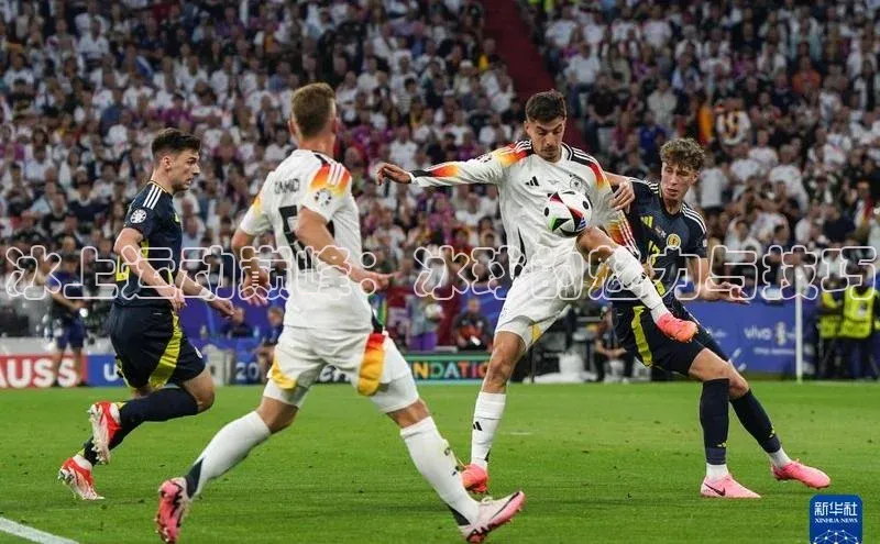 冰上运动巅峰：冰球的魅力与技巧