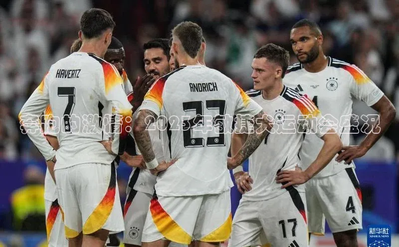 奔跑的激情：2023年敏捷犬运动会盛况